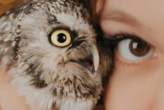 Lottomart Kazino Atbalsts